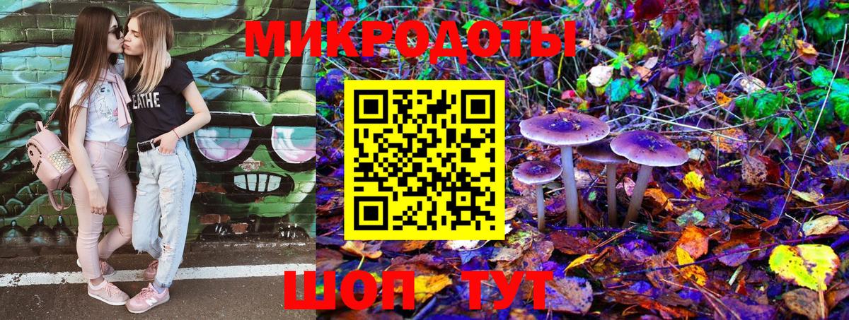 Псилоцибиновые грибы Cubensis Всеволожск